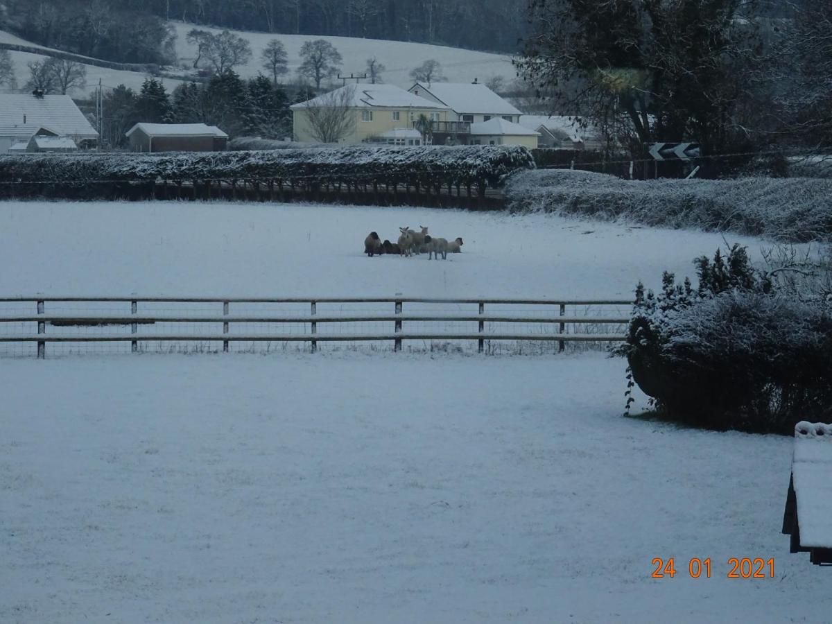 Villa Red Kite Barn Ammanford Exterior foto
